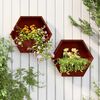Sm&aacute;mynd af v&ouml;ru 2 af 11