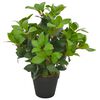 vidaXL Gerviplanta L&aacute;rvi&eth;ur me&eth; Potti Gr&aelig;n 40 cm