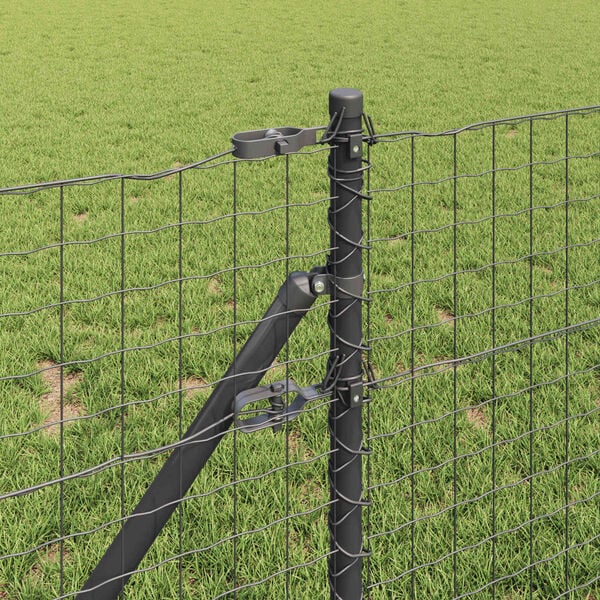 S&yacute;nir v&ouml;rumynd 3 af 6