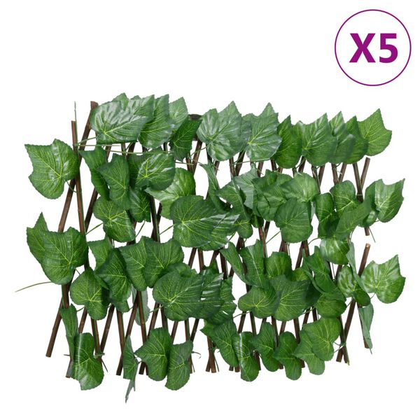 S&yacute;nir v&ouml;rumynd 1 af 6
