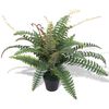 vidaXL Gerviplanta Burkni me&eth; Bl&oacute;mapotti 60 cm Gr&aelig;nn
