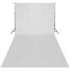 vidaXL Ljósmyndastúdíóbúnaður með Ljósasetti og Bakgrunni