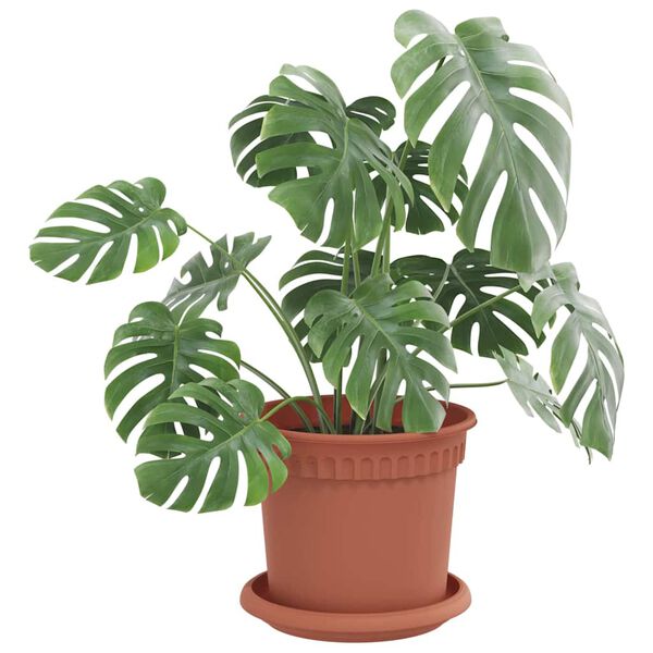 vidaXL Hringlaga bl&oacute;mask&aacute;lar 24 pcs Ekkert Rautt &Oslash; 14 x 2 cm Plast