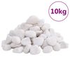vidaXL Sl&iacute;pa&eth;ir Steinar 10 kg Hv&iacute;tir 2-5 cm