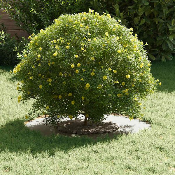 vidaXL hentar fyrir Flat tr&eacute;hringi 5 pcs Hv&iacute;tt &Oslash;30 / 60 cm St&aacute;l