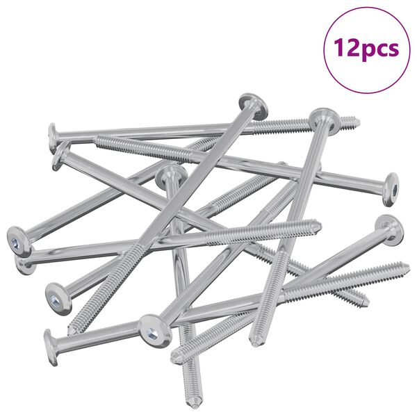 vidaXL H&uacute;sgagnaskr&uacute;fur 12 pcs Silfur M6 x 120 mm St&aacute;l