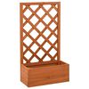 vidaXL Bl&oacute;maker me&eth; Rimlum Appels&iacute;nugult 50x25x90 cm &THORN;inur