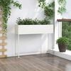 Sm&aacute;mynd af v&ouml;ru 4 af 12