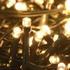 Sm&aacute;mynd af v&ouml;ru 13 af 15