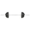 vidaXL Lyftingast&ouml;ng me&eth; L&oacute;&eth;apl&ouml;tum 60 kg