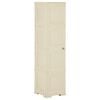 vidaXL Plastsk&aacute;pur 40x43x164 cm Vi&eth;arh&ouml;nnun Hv&iacute;tur