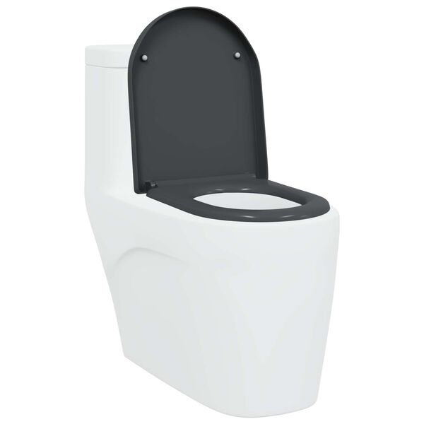 vidaXL WC sete Antras&iacute;t 49 x 36 x 4 cm Duroplast