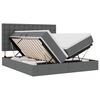 vidaXL R&uacute;m Me&eth; LED r&aelig;ma lj&oacute;sum me&eth; geymslu D&ouml;kk gr&aacute; 200 x 200 cm d&uacute;kur