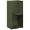 vidaXL Eldivi&eth;argrind Olive Green 40x30x80 cm Kaldvalsa&eth; st&aacute;l