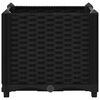 Sm&aacute;mynd af v&ouml;ru 3 af 8
