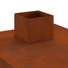 vidaXL Tjaldofn 35x50x60 cm Corten St&aacute;l
