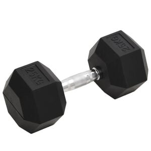 vidaXL Handlóð 25 kg Steypujárn
