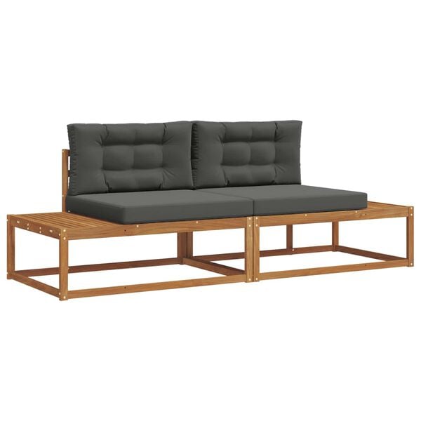 vidaXL &Uacute;ti s&oacute;fasett me&eth; p&uacute;&eth;i 2 Stykki N&aacute;tt&uacute;rulegt og Antrac&iacute;t