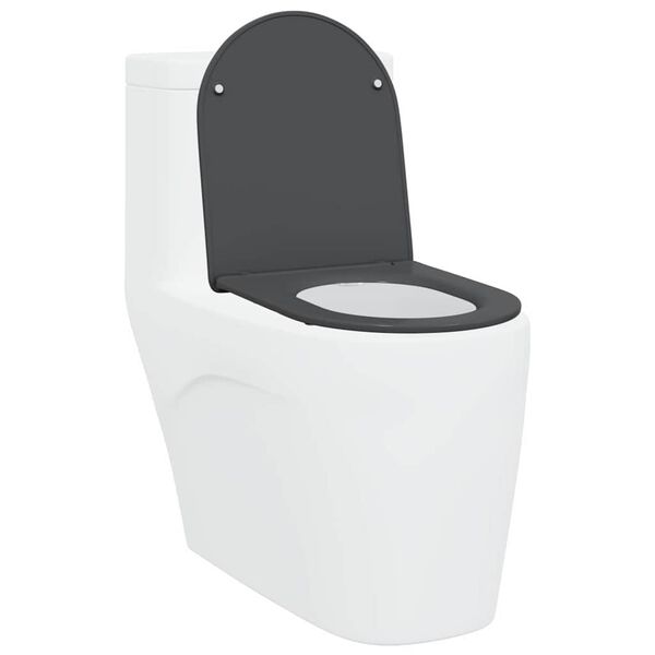 vidaXL WC sete Antras&iacute;t 44 x 36,4 x 3,4 cm Duroplast