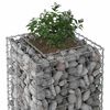 vidaXL Gabion h&aelig;kka&eth; r&uacute;m Silfur 50 x 50 x 80 cm Galvaniserad st&aacute;l