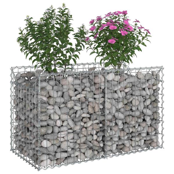 vidaXL Gabion h&aelig;kka&eth; r&uacute;m Silfur 100 x 50 x 60 cm Galvaniserad st&aacute;l