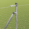Sm&aacute;mynd af v&ouml;ru 4 af 16