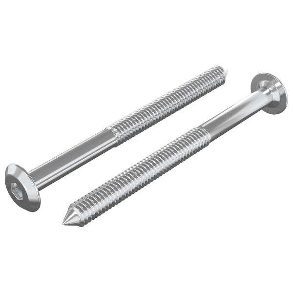 vidaXL H&uacute;sgagnaskr&uacute;fur 2 pcs Silfur M6 x 85 mm St&aacute;l