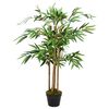 Gerviplanta &bdquo;Twiggy&ldquo; Bambusplanta me&eth; Potti 90 cm