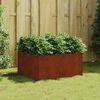 vidaXL Gr&oacute;&eth;urker 80x80x40 cm Corten St&aacute;l