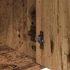 Sm&aacute;mynd af v&ouml;ru 9 af 12