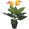 vidaXL Gerviplanta Kallalilja me&eth; Bl&oacute;mapotti 45 cm Rau&eth; og Gul