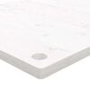 vidaXL Bor&eth;plata Hv&iacute;t 100x60x2,5 cm Gegnheil Fura Spor&ouml;skjulaga