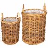 vidaXL Pl&ouml;ntu K&ouml;rfa me&eth; geymslu 2 pcs Br&uacute;nn Kubu rattan