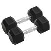 vidaXL Handl&oacute;&eth; 2 stk 16 kg Heild &uacute;r Steyptu J&aacute;rni
