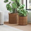 vidaXL Pl&ouml;ntuk&ouml;rfu me&eth; geymslu 2 pcs Br&uacute;nn Lacak Rattan
