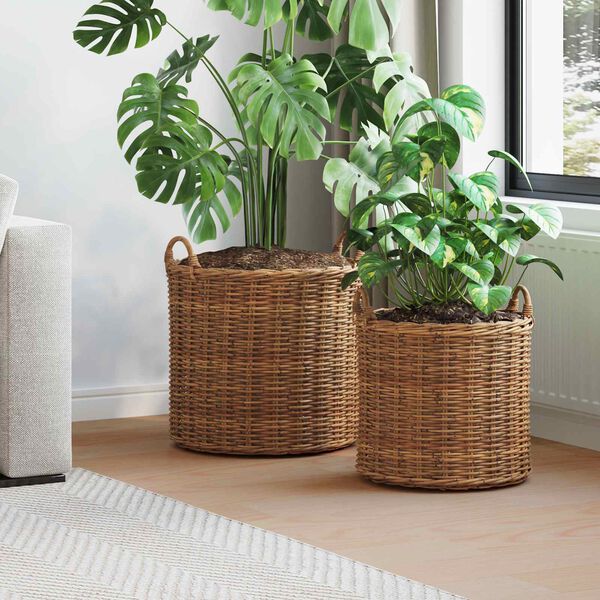 vidaXL Pl&ouml;ntuk&ouml;rfu me&eth; geymslu 2 pcs Br&uacute;nn Lacak Rattan