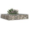 vidaXL Gabion h&aelig;kka&eth; r&uacute;m Silfur 100 x 100 x 20 cm Galvaniserad st&aacute;l