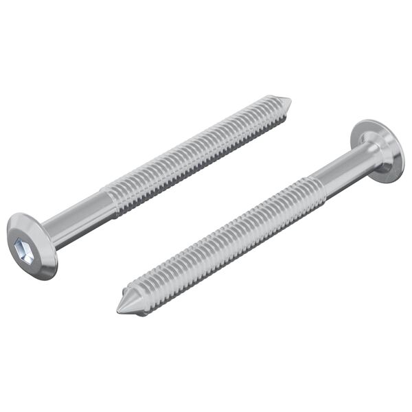 vidaXL Skr&uacute;fa 2 pcs Silfur M6 x 60 mm St&aacute;l