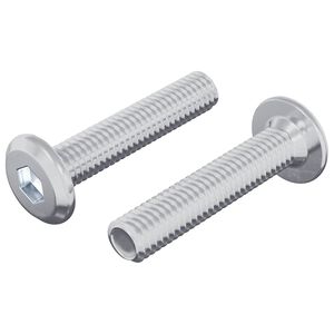 vidaXL L&aacute;sskr&uacute;fa Einlita 2 pcs Silfur M6 x 30 mm St&aacute;l