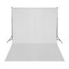 vidaXL Ljósmyndaverabúnaður með Softbox Ljósabúnaði og Bakgrunni