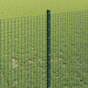 Sm&aacute;mynd af v&ouml;ru 4 af 15