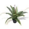 vidaXL Gerviplanta Burkni me&eth; Bl&oacute;mapotti 50 cm Gr&aelig;nn