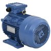 vidaXL 3-fasa Rafm&oacute;tor &Aacute;l 4kW/5,5HP 2 P&oacute;la 2840 Sn&uacute;ningshra&eth;i