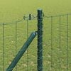 Sm&aacute;mynd af v&ouml;ru 4 af 16