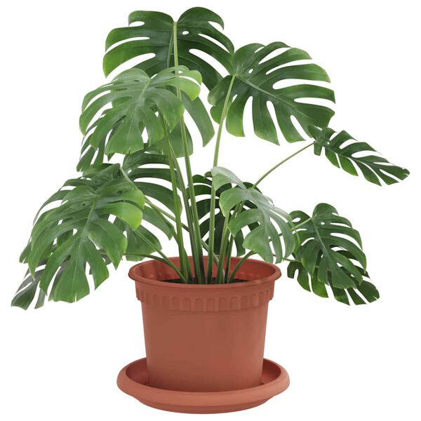 S&yacute;nir v&ouml;rumynd 3 af 12