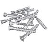 vidaXL H&uacute;sgagnaskr&uacute;&eth;ur 2500 pcs Silfur M&aacute;lmur