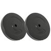 vidaXL L&oacute;&eth;apl&ouml;tur 2 stk. 30 kg