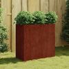 vidaXL Gr&oacute;&eth;urker 80x40x80 cm Corten St&aacute;l