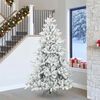 Sm&aacute;mynd af v&ouml;ru 2 af 17