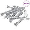 vidaXL H&uacute;sgagnaskr&uacute;&eth;ur 12 pcs Silfur &Oslash;7 x 58 mm M&aacute;lmur